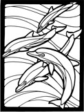 Practica vectorizacion delfines