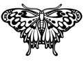Practica vectorizacion mariposa