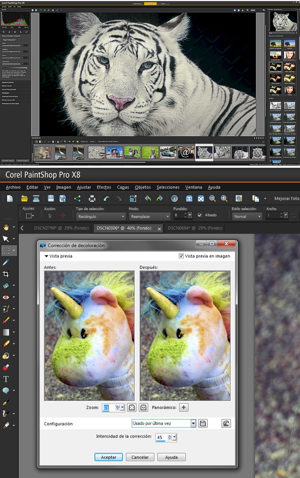 Capturas de pantalla de Corel PAINTSHOP PRO X8 en español